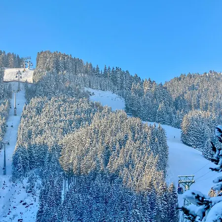 Schmitten By Alpen *